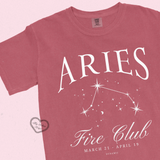 aries zodiac tee