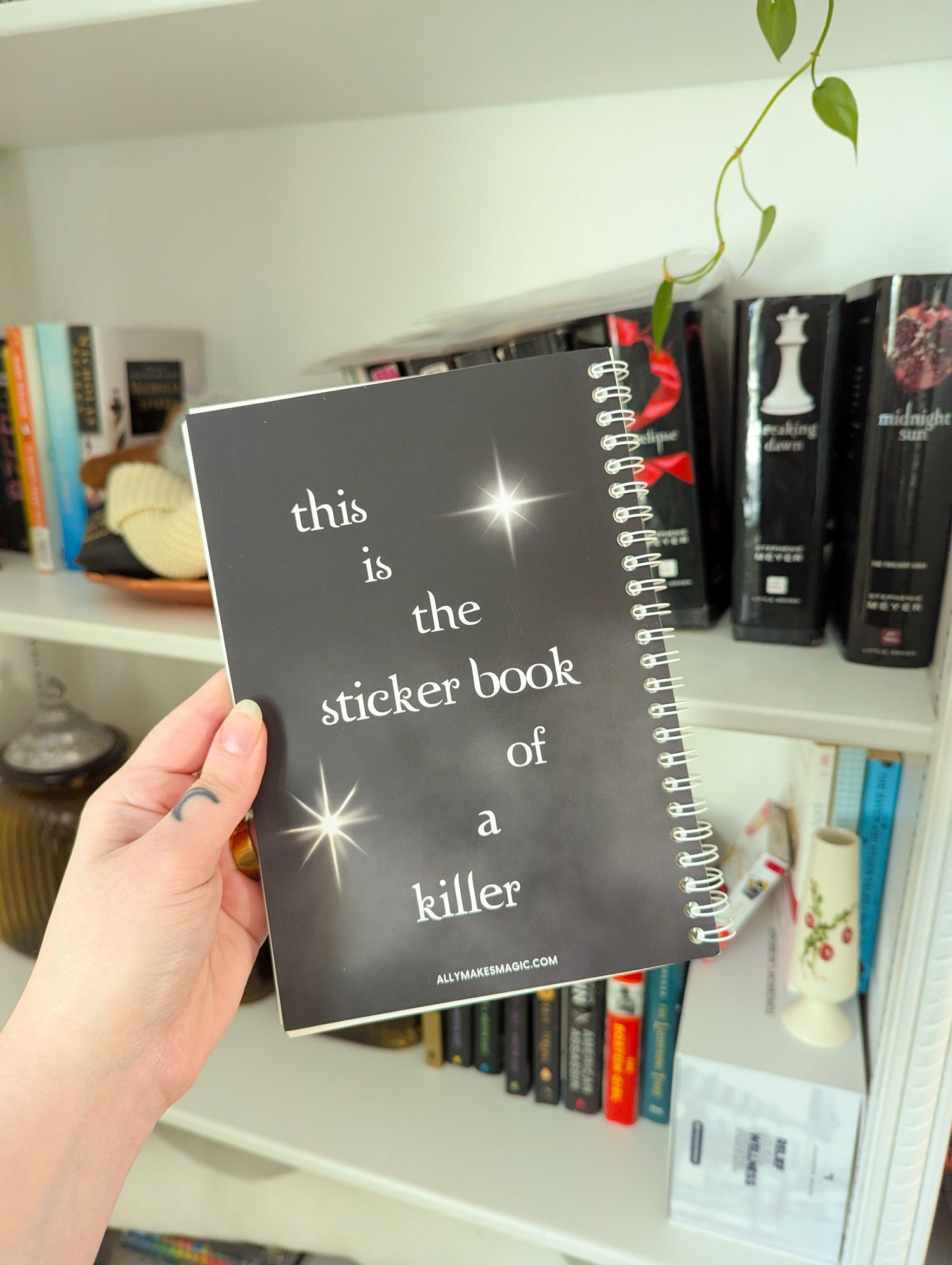 supermassive sticker book