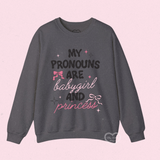 babygirl & princess sweater