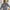chicago night 1 pullover | comfort colors *custom*