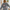 tampa night 1 pullover | comfort colors *custom*
