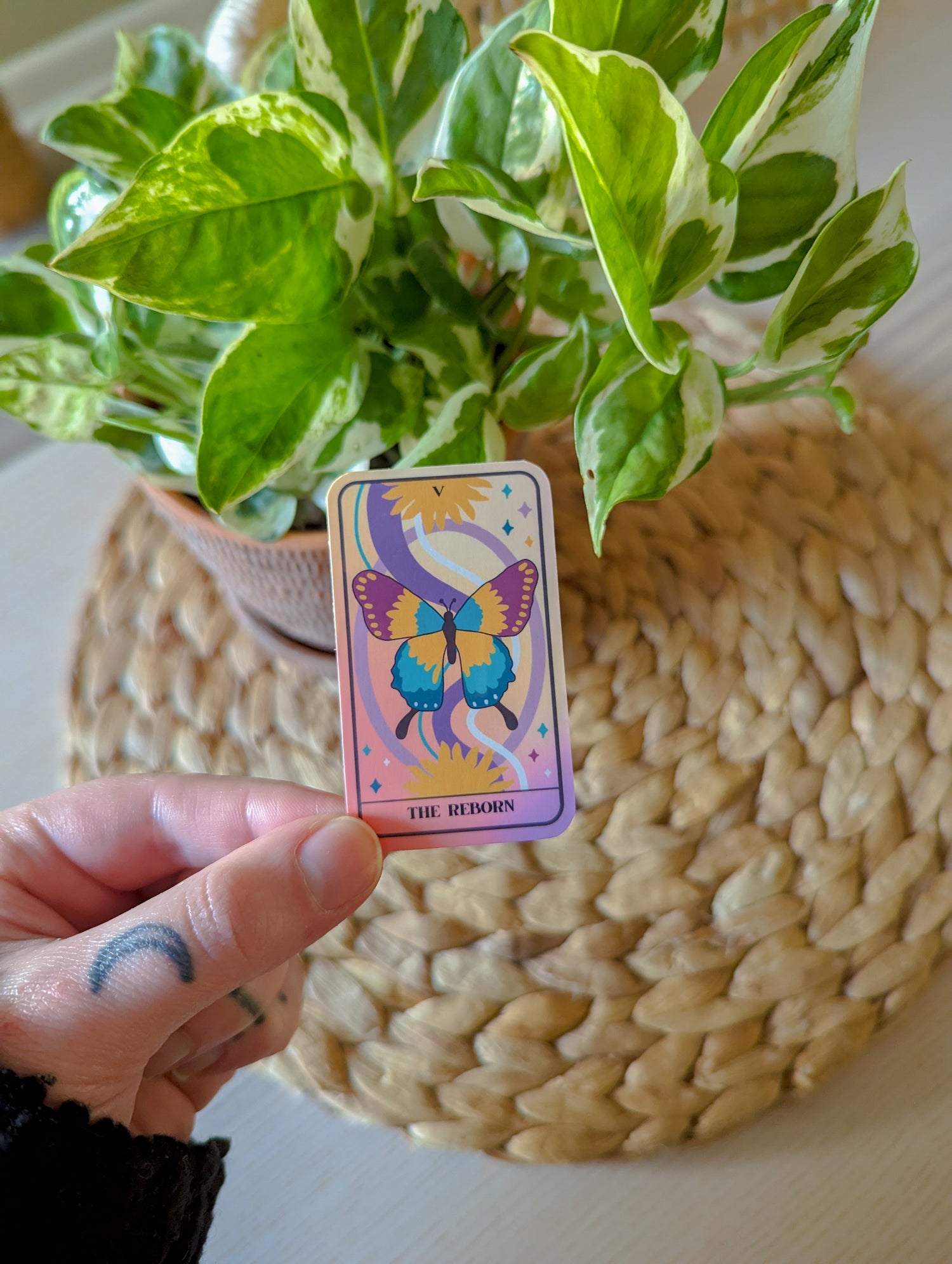 butterfly tarot sticker