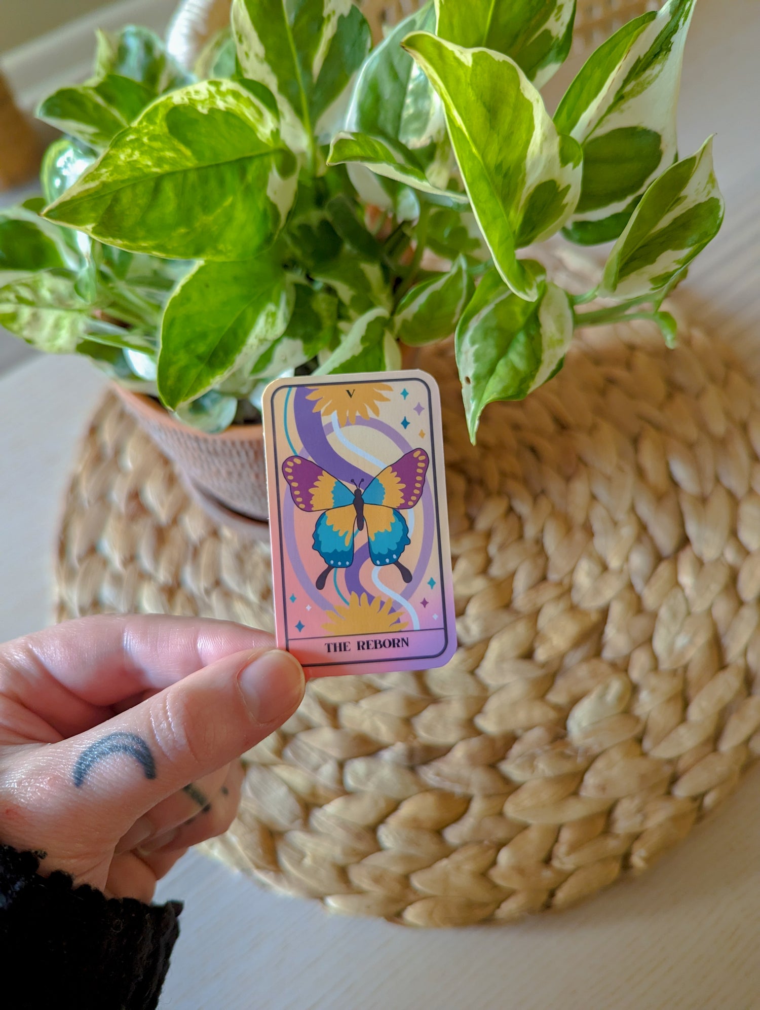 butterfly tarot sticker